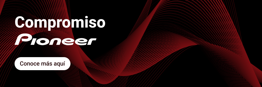 Etica profesional Pioneer